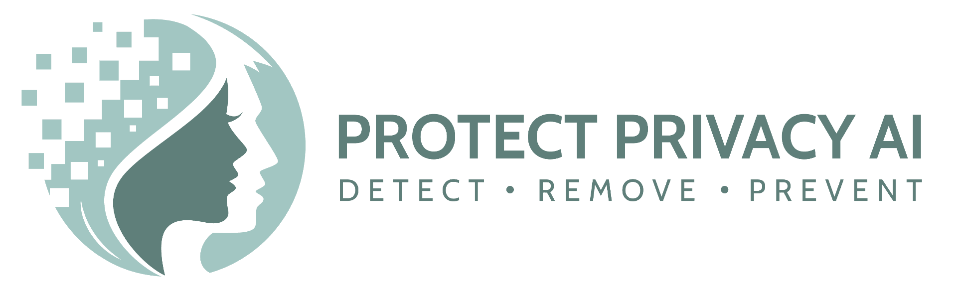 Protect Privacy AI